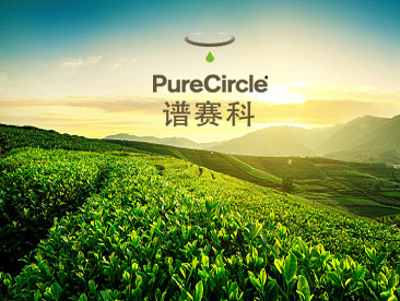 譜賽科網(wǎng)站建設