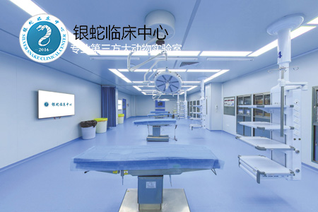 銀蛇醫(yī)療科技